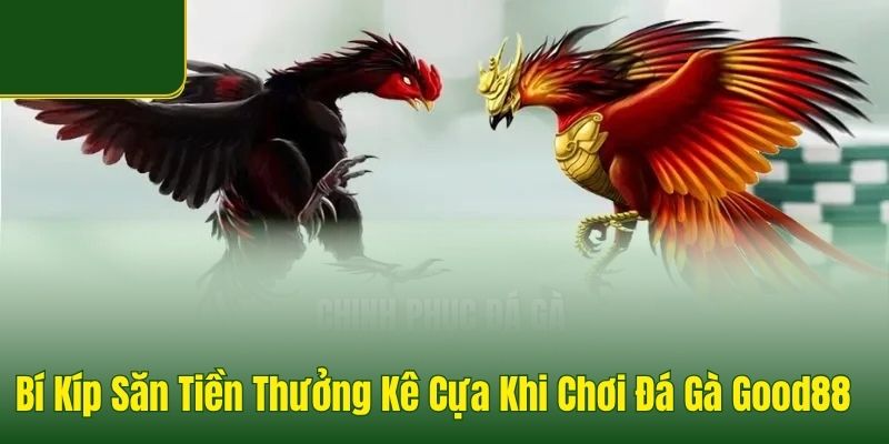 Đá Gà Good88 - Sảnh Đá Gà Thomo Uy Tín, Tỷ Lệ Thưởng 1 Ăn 99 - POVIP