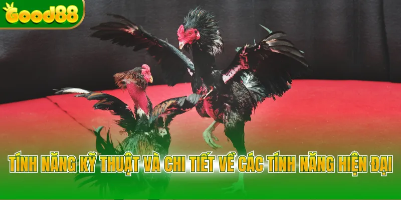 Đá Gà 88 Hôm Nay Tại Good88 - Đỉnh Cao Cược Trực Tuyến - POVIP
